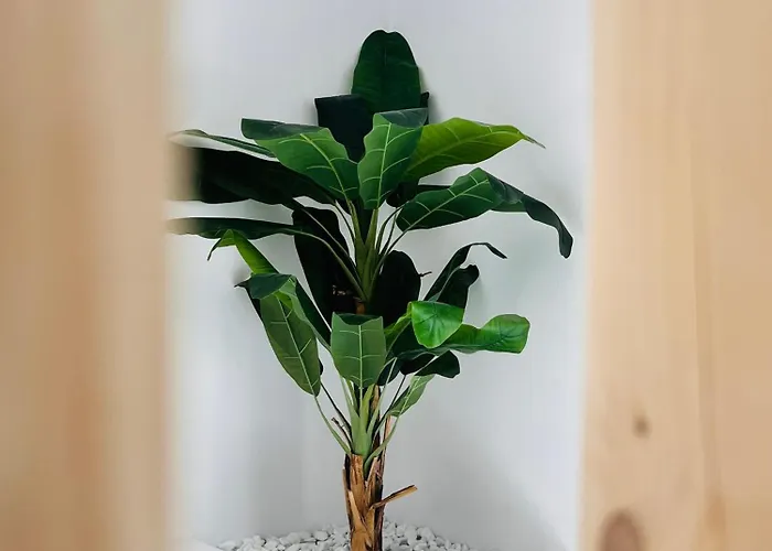 Irida Vacation アパート Kastrákion